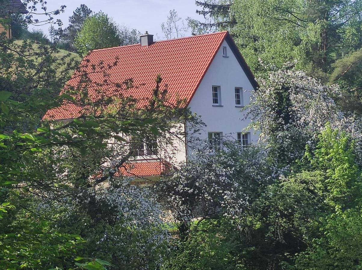 Ferienhaus Gluecksgriff 포텐스타인 외부 사진